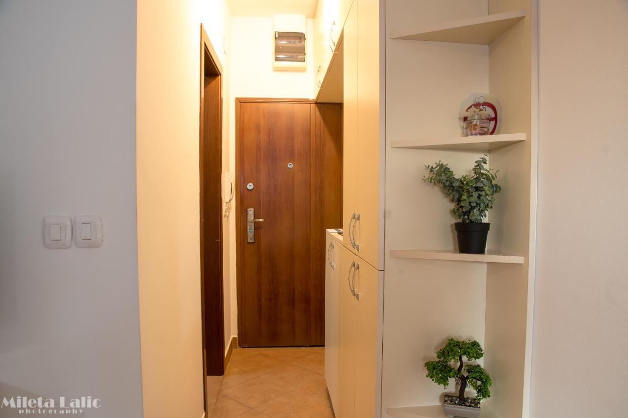 Sunny 412 Apartment Podgorica Exteriér fotografie